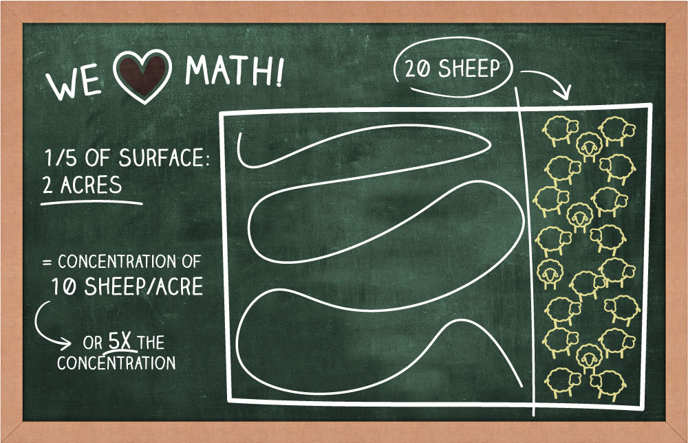 ezPRF back to school